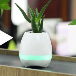 Cassa Wireless Flower Pot Speaker