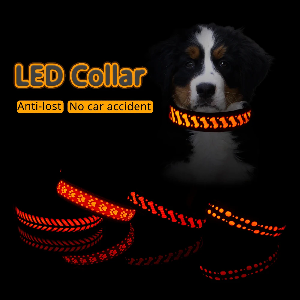 Collare luminoso per Cani a LED